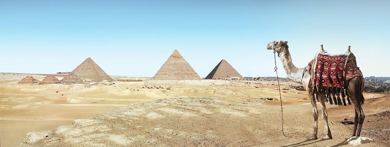 Archaeological Finds